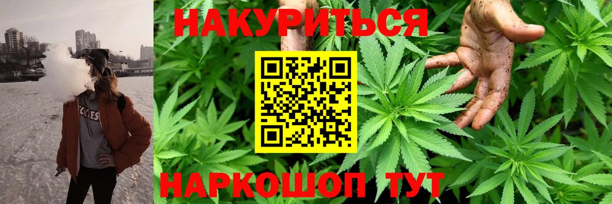 Бошки Шишки планчик Лиски